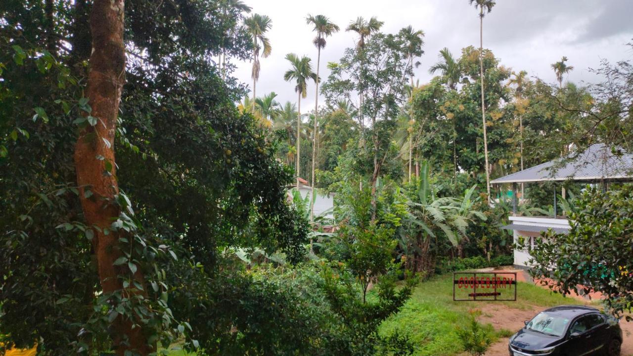 Gooseberry Family Retreats - Wayanad By Karapuzha Resorts Meenangadi Esterno foto